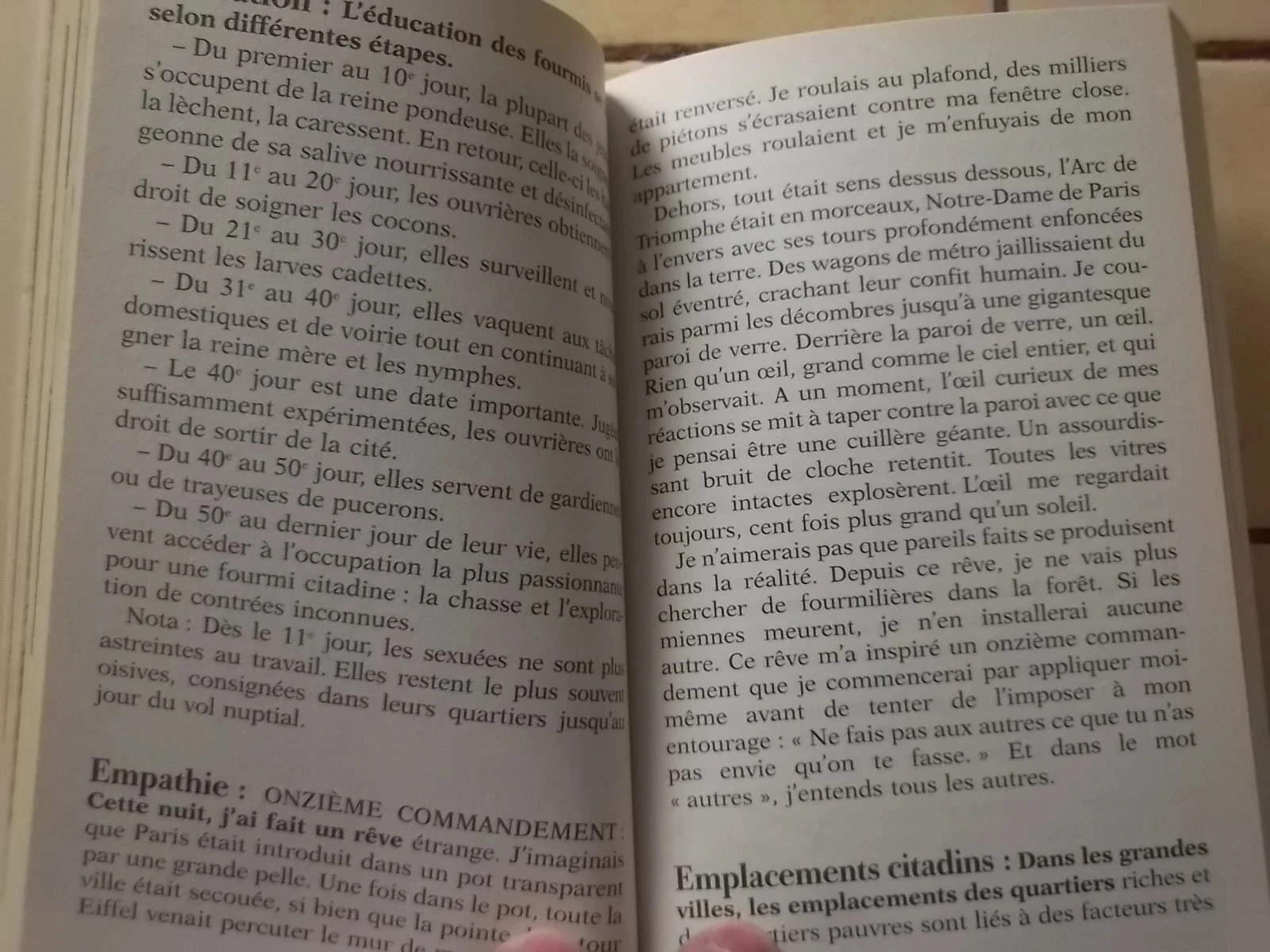 Livros Bernard Werber – photo 7